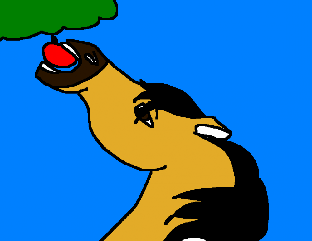 apple dear?