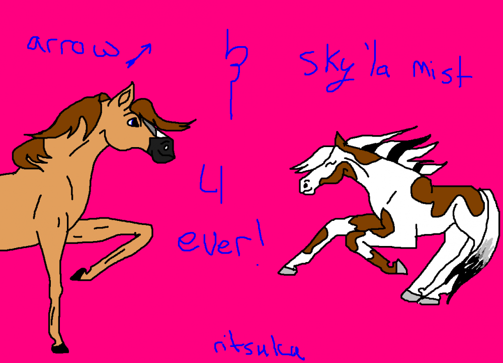 Sky'la Mist and Arrow 4ever