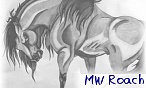 MW Roach