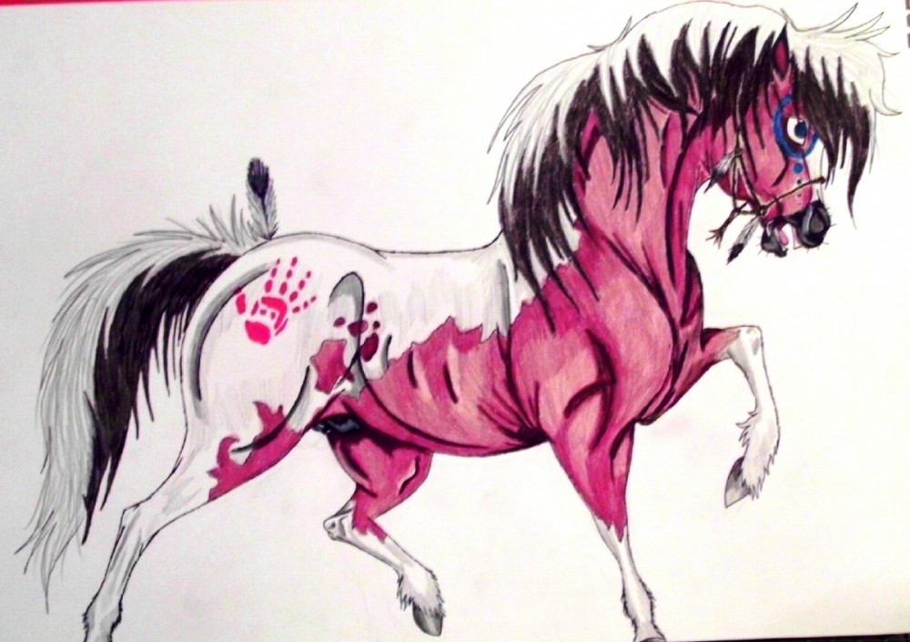 Thorn -Rain's Sire-