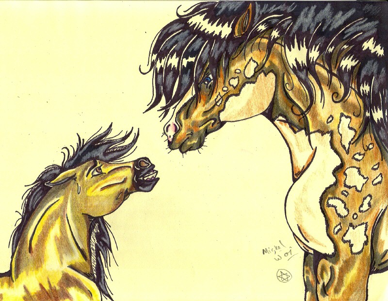 Spirit Meets Cyclone