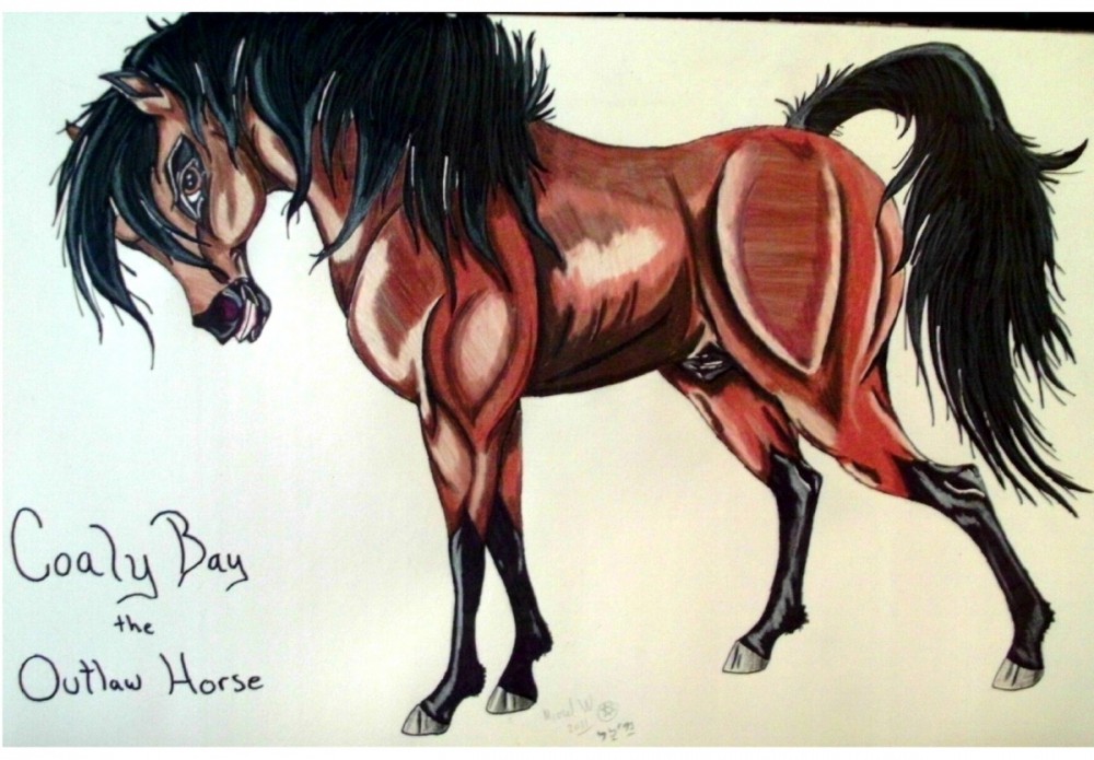 Coaly bay The Outlaw Horse