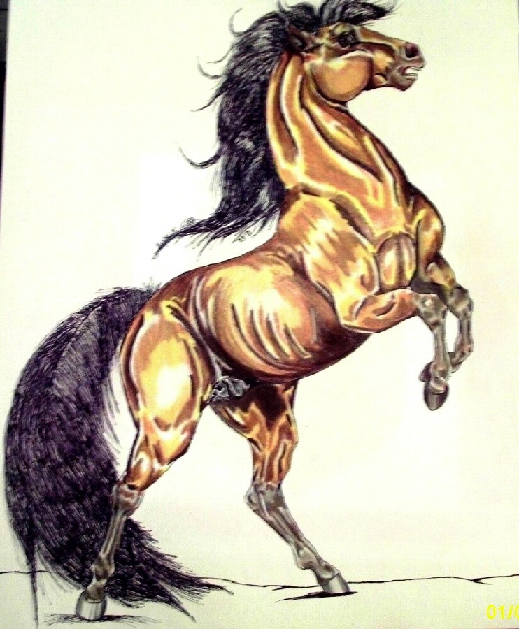 Spirit Realism