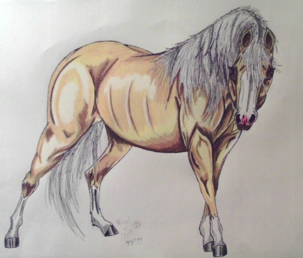 Esperanza Realism