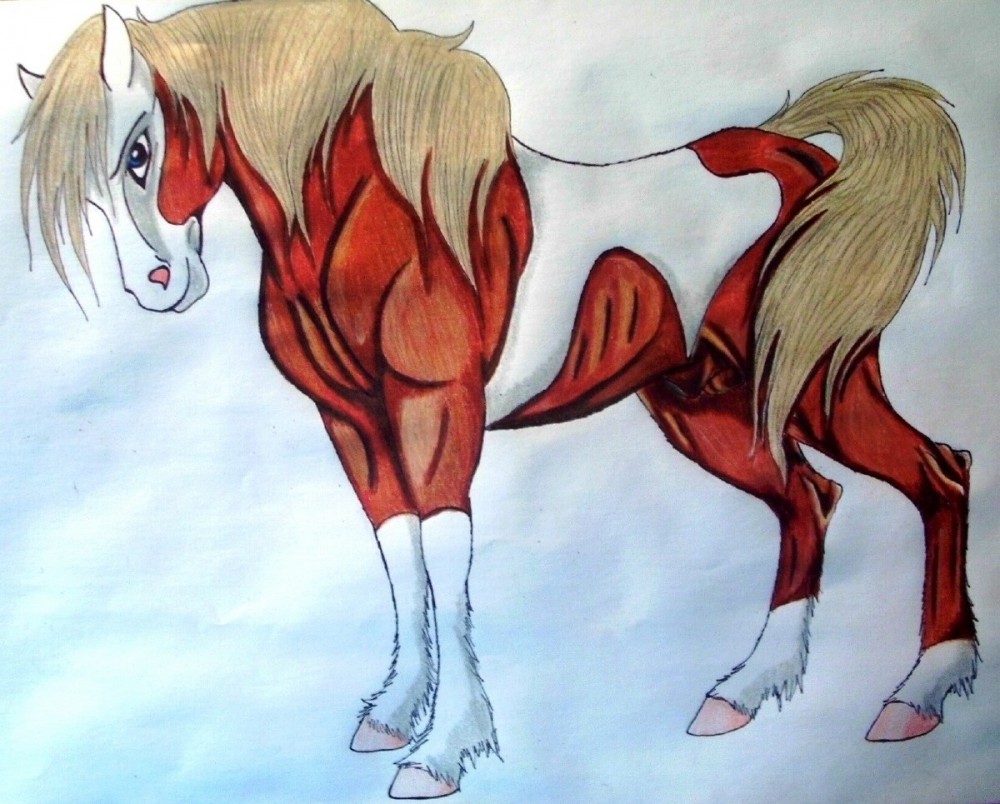 Gender-Bender Rain Stallion