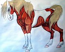 Gender-Bender Rain Stallion