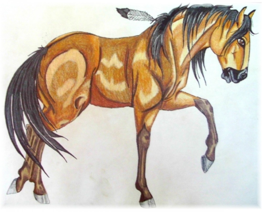 Gender Bender-- Spirit Mare