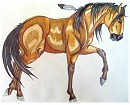 Gender Bender-- Spirit Mare
