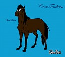 My Horse Character, CrowFeather