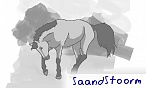 SaandStoorm