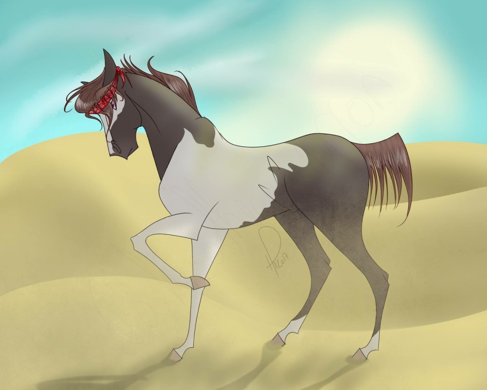 Sand Stallion