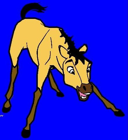 spirit looking 