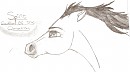 Spirit Doodle