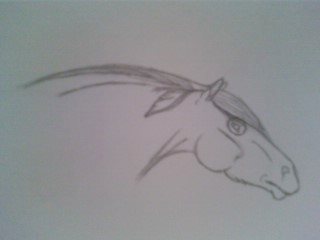 Doodle