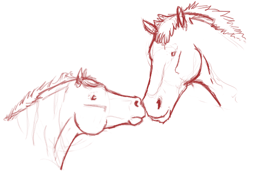 Scotch Barr and Viking