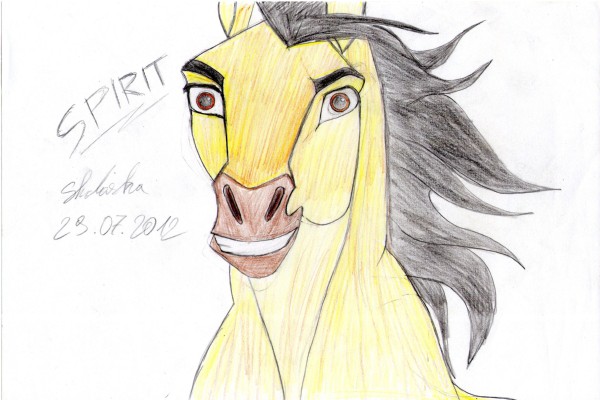 Spirit