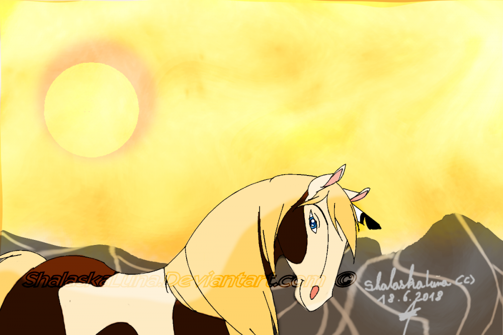 Sunlight