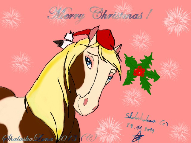 Merry Christmas !
