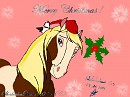 Merry Christmas !
