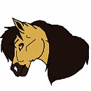 Spirit :D