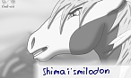 Shimaï smilodon