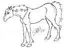 Lineart for Yooz