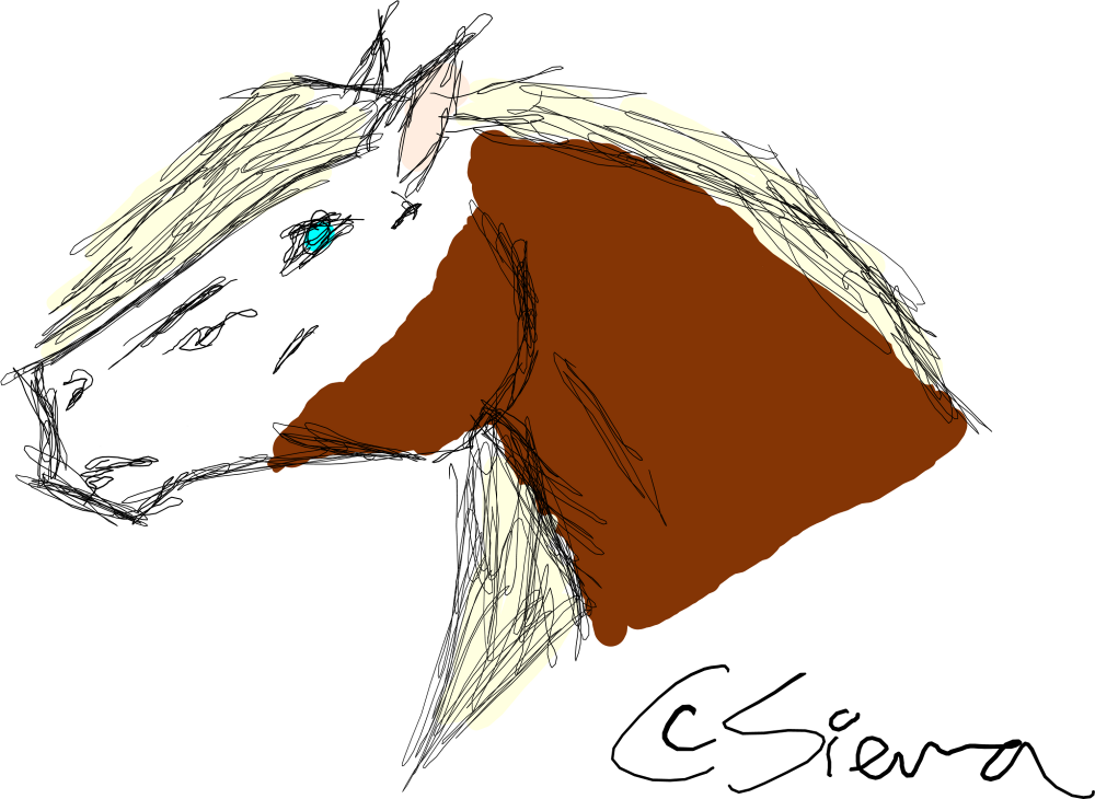 Ran Speed-Sketch on Tablet 