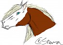 Ran Speed-Sketch on Tablet 