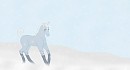 Fresh Snow 