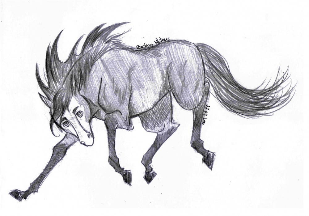 .: Argus Sketch :.