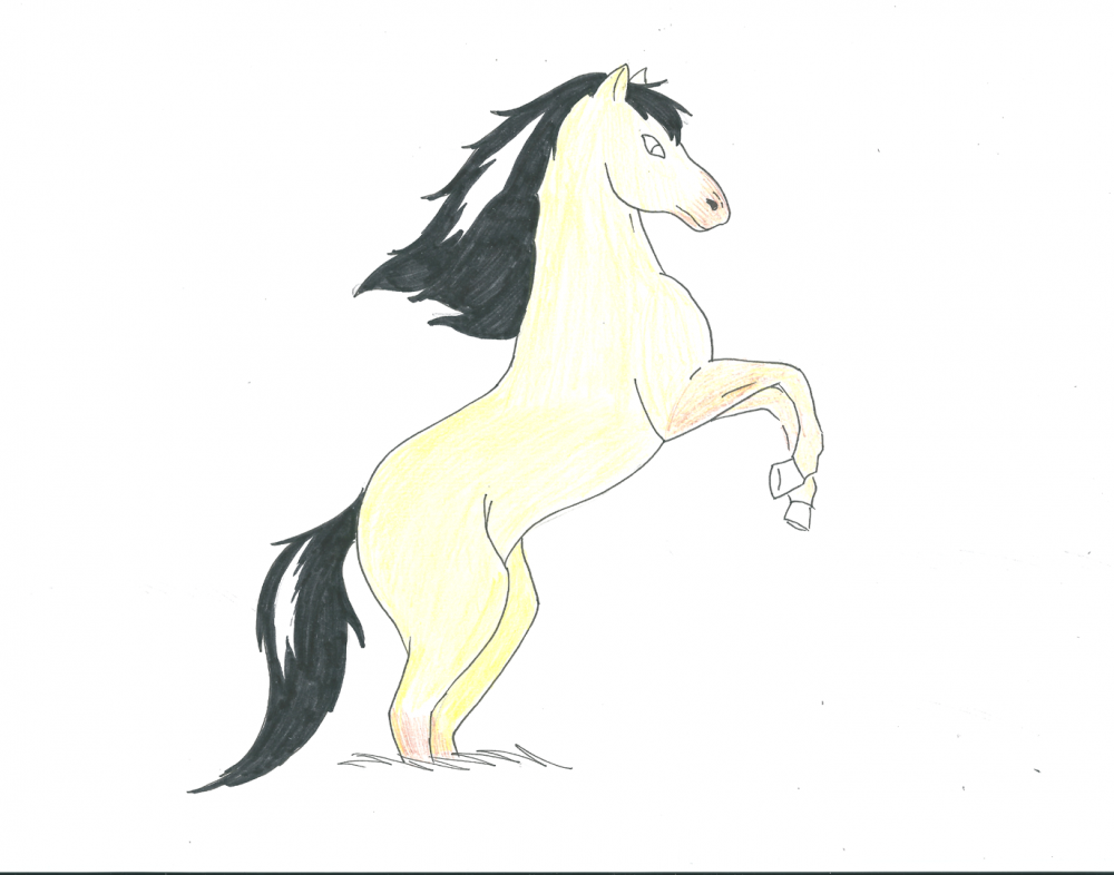 Dessin de spirit ^^ 