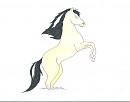 Dessin de spirit ^^ 