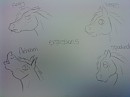 Expressions