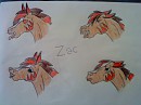 Expressions