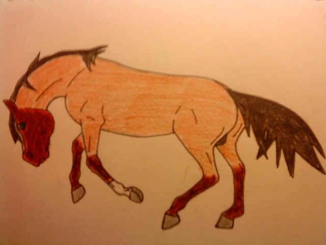 Raimundo