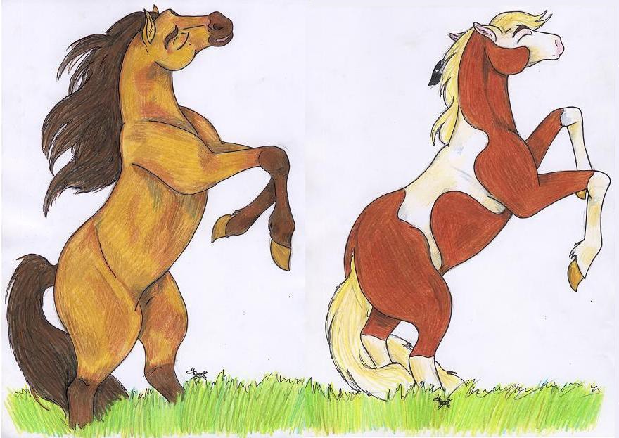 Rain And Spirit are happy