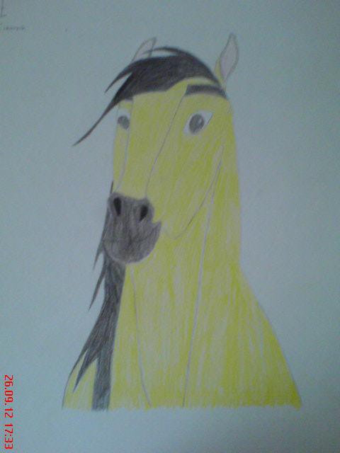Spirit :D
