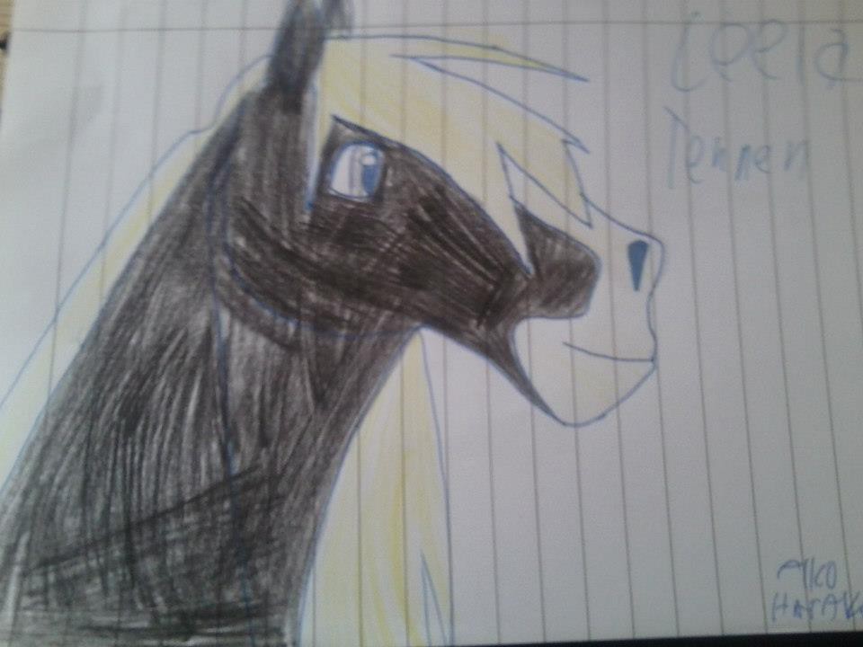 Leeia drawing