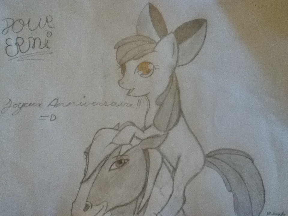 Joyeux anniversaire Ermi ! =D