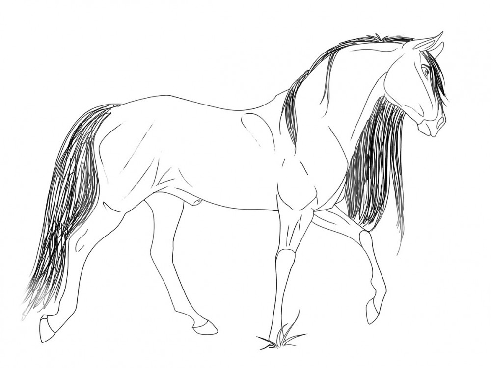 Spirit Sketch