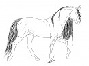 Spirit Sketch