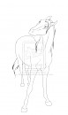 Mare Sketch