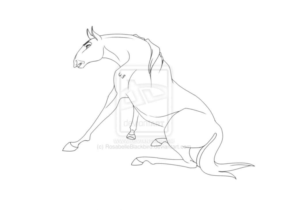 New Upcoming Stallion
