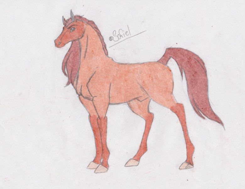 Horse Body Shape Practice.