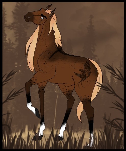 Stallion