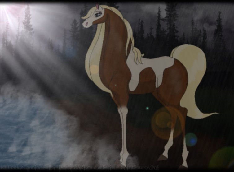 Rain: The Last Paint Horse
