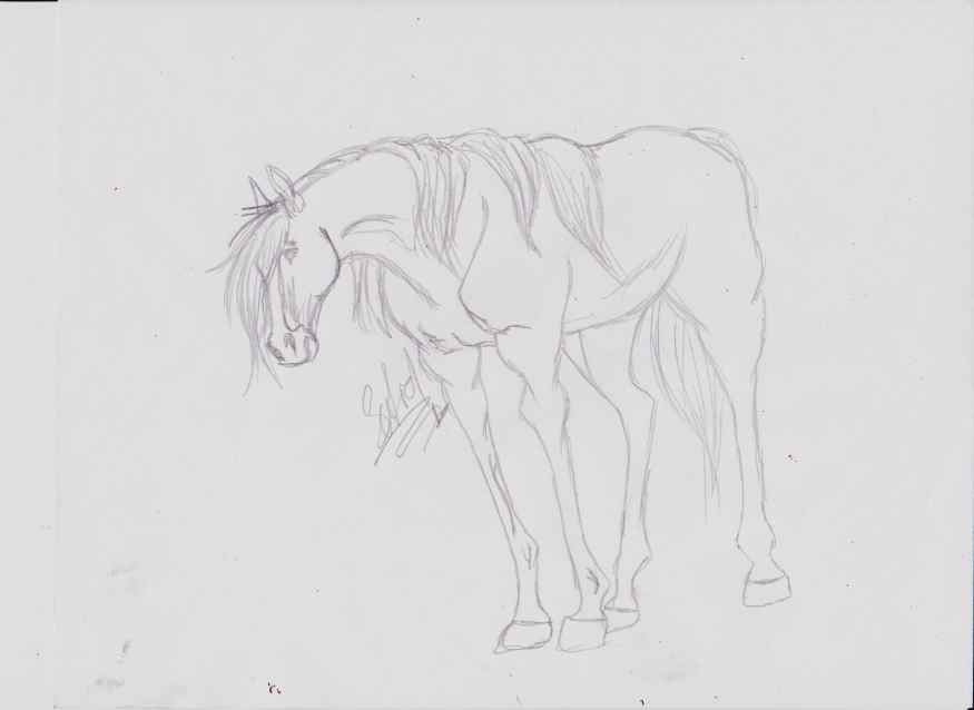  5 min doodle of essy