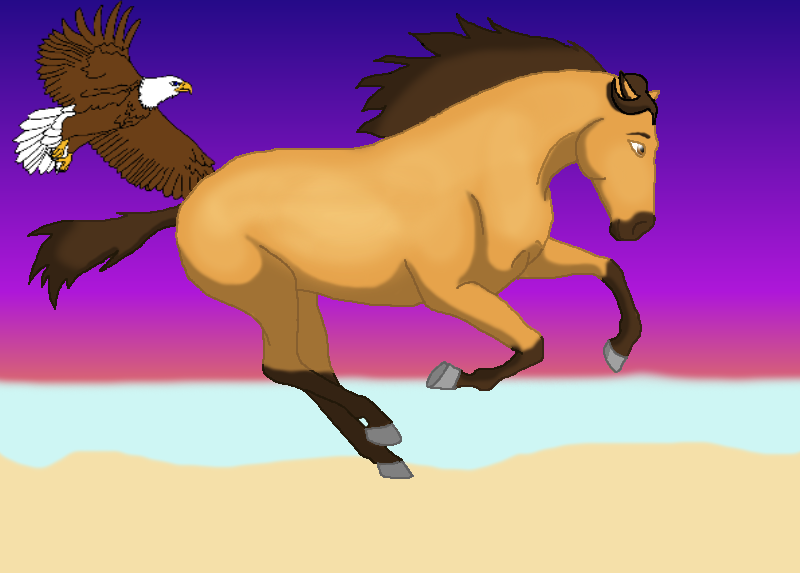 Spirit and the eagle on susnet beach