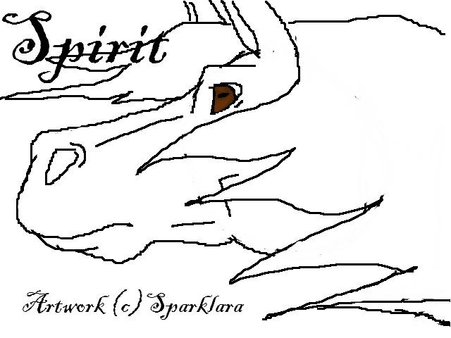 Spirit Doodle
