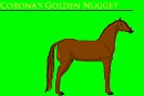 Corona's Golden Nugget